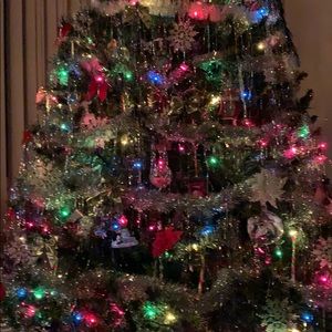 Meet your Posher, Suzanne